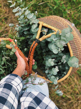 Load image into Gallery viewer, Rose and Eucalyptus bath tea