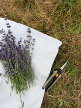 Load image into Gallery viewer, Fresh lavender bundles
